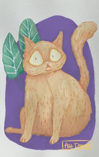 Gatito-Mishu